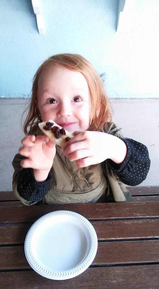 22448142_1716948131672348_5340328946260743663_n