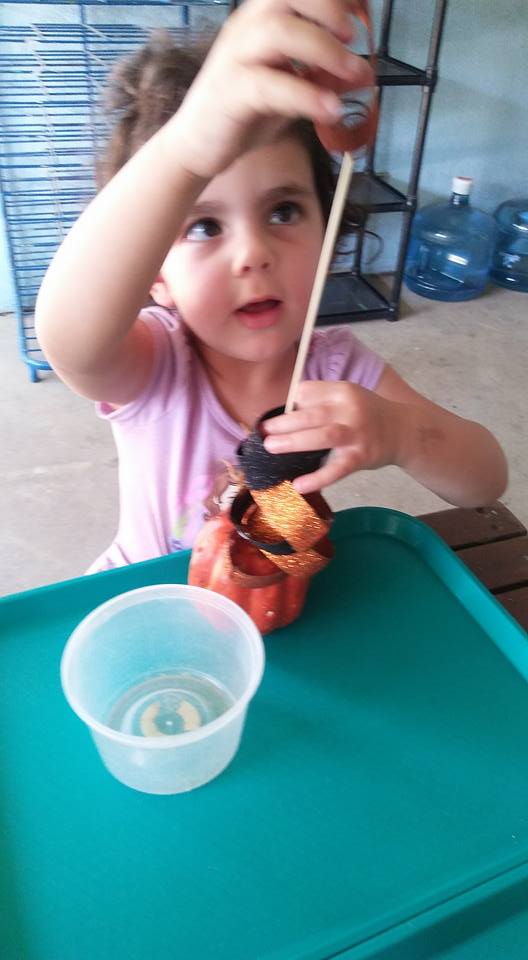 22221912_1709478329085995_3694016919732067408_n