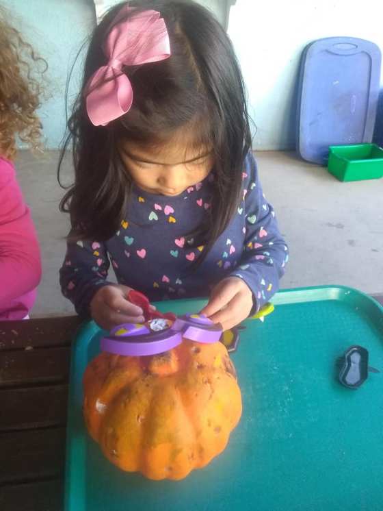 71792389_2748502305183587_5863328226801090560_n