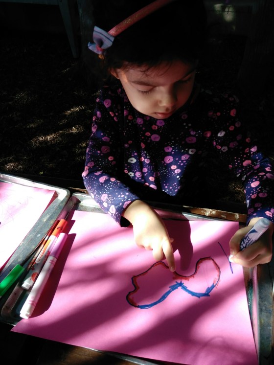 IMG_20170215_095549 (1)