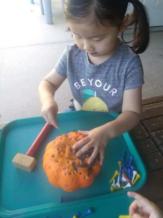 72669500_2750599924973825_920114528904019968_n