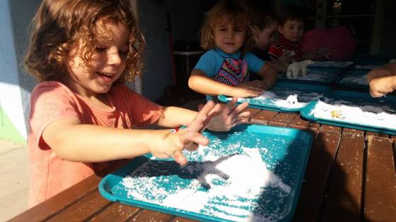 14068315_1286230801410752_8401587915833770388_n