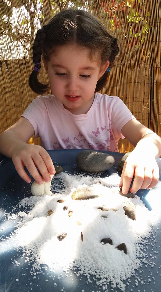 14068319_1286231001410732_8619250389290906189_n