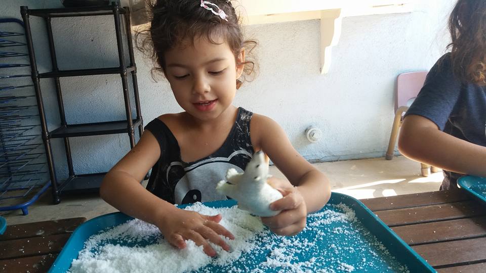 14102549_1286230858077413_6173104217366294487_n