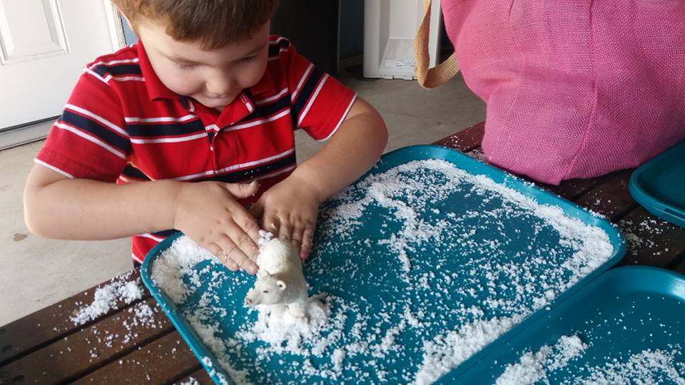 14183724_1286230838077415_4989407327656595339_n