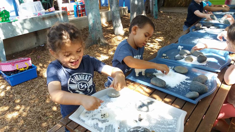 14183827_1286231028077396_3702017276364823366_n