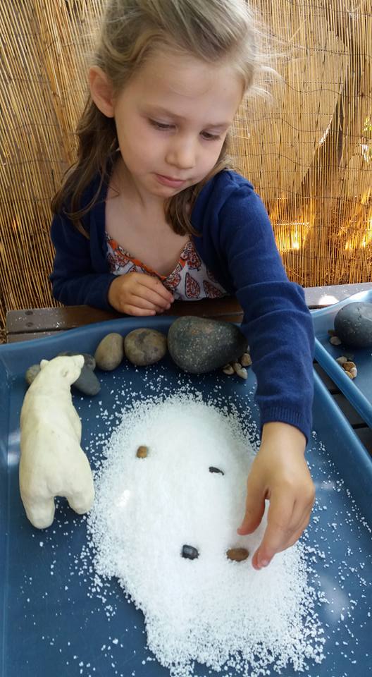 14191900_1286230881410744_576631998871423813_n