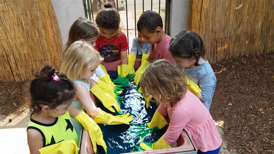 14045954_1282307685136397_8453531883876729545_n