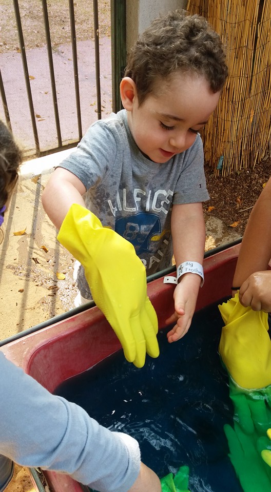 14051711_1282307031803129_7556150155084095589_n