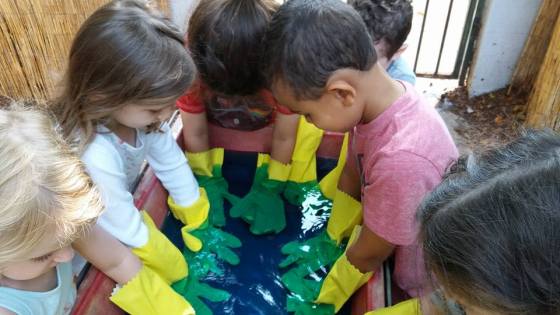 14055091_1282307661803066_5890156816335887220_n