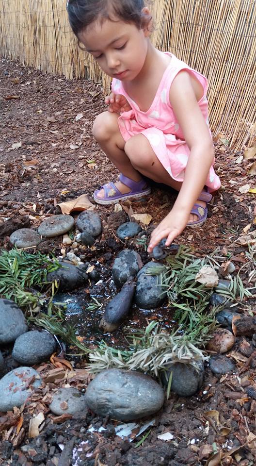 14222143_1286868424680323_864738109041249004_n