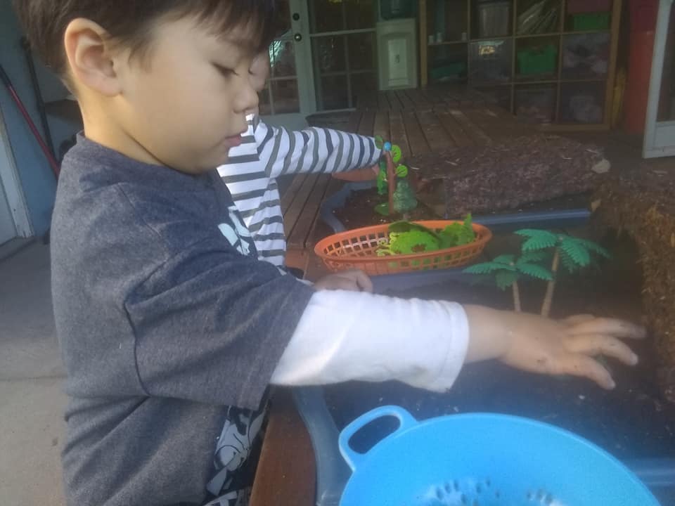 75588203_2861472523886564_5551954281935929344_n