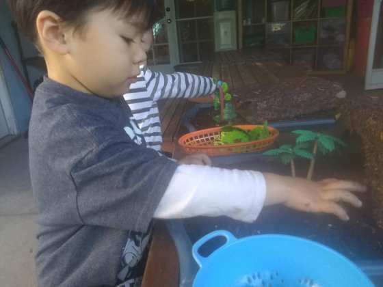 75588203_2861472523886564_5551954281935929344_n