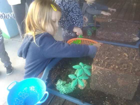 76638828_2861472673886549_5045535645842276352_n