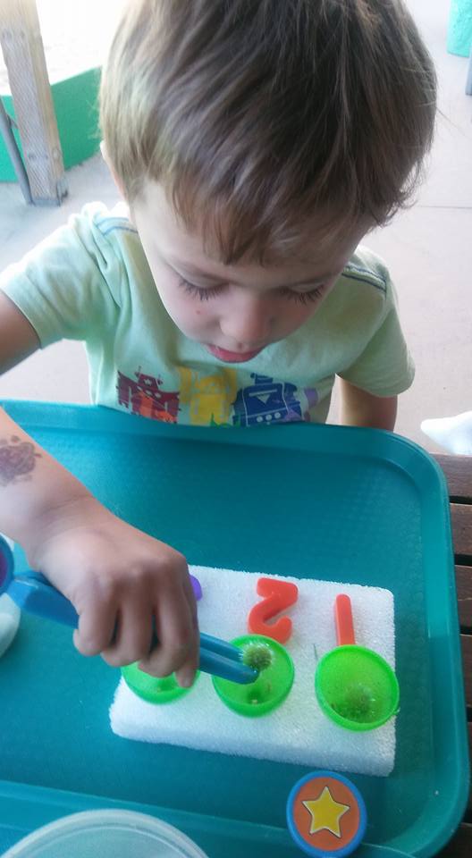 Green Eggs and Ham Counting | misscarriescorner