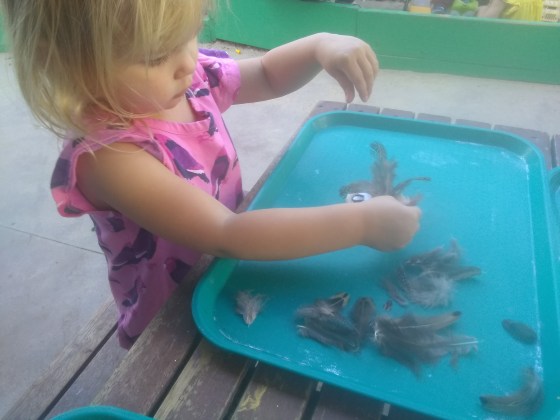 IMG_20191112_100144696