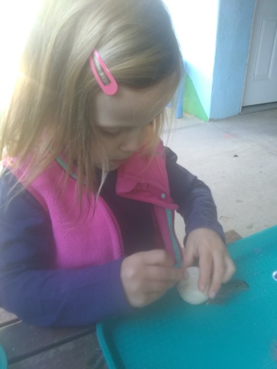 IMG_20191112_102654260