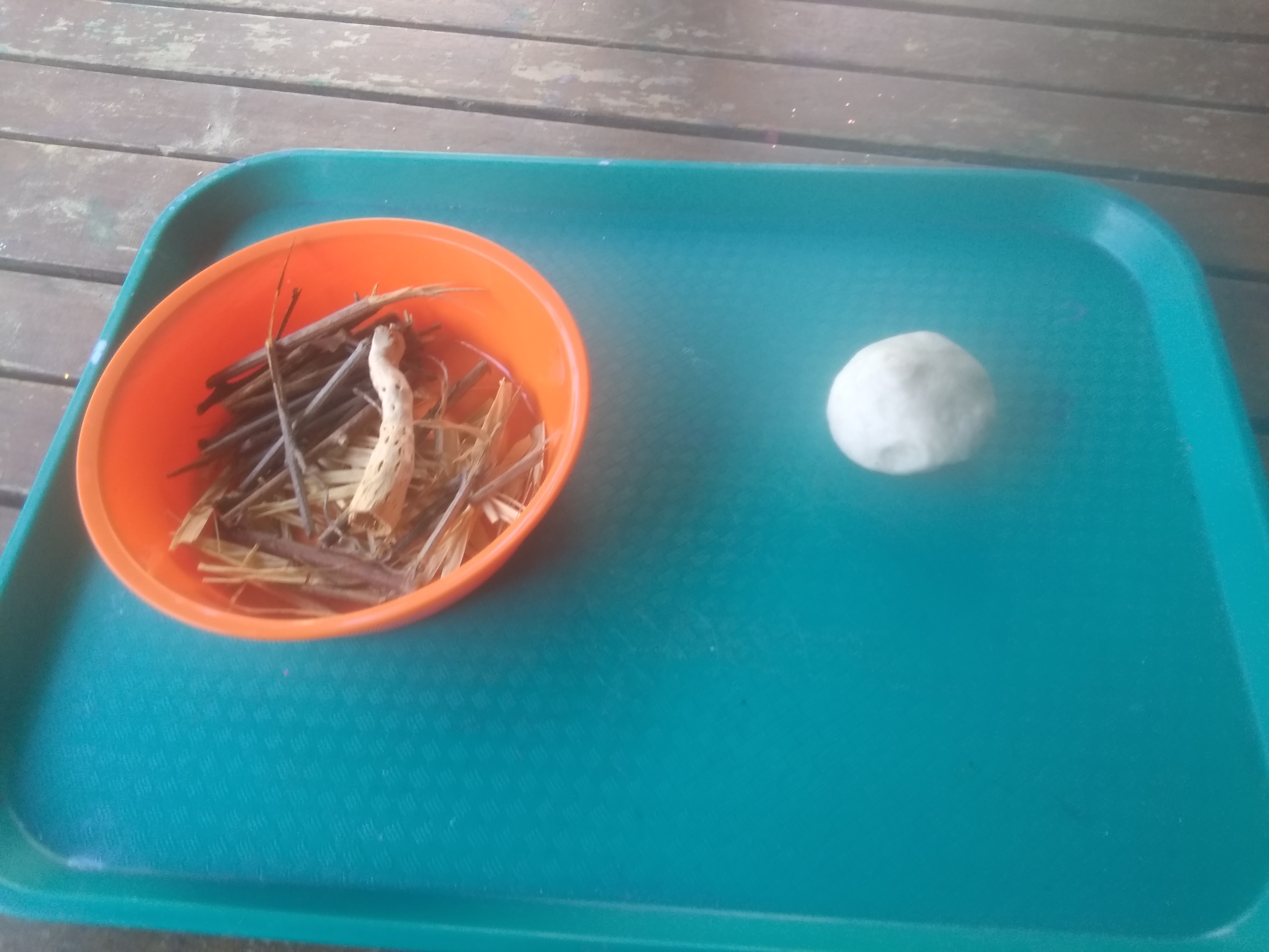 IMG_20191113_112409329