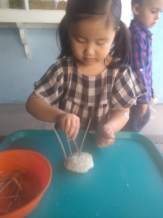 IMG_20191113_113612567