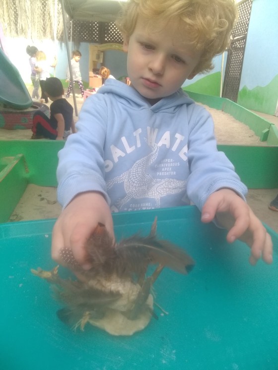 IMG_20191114_100032449