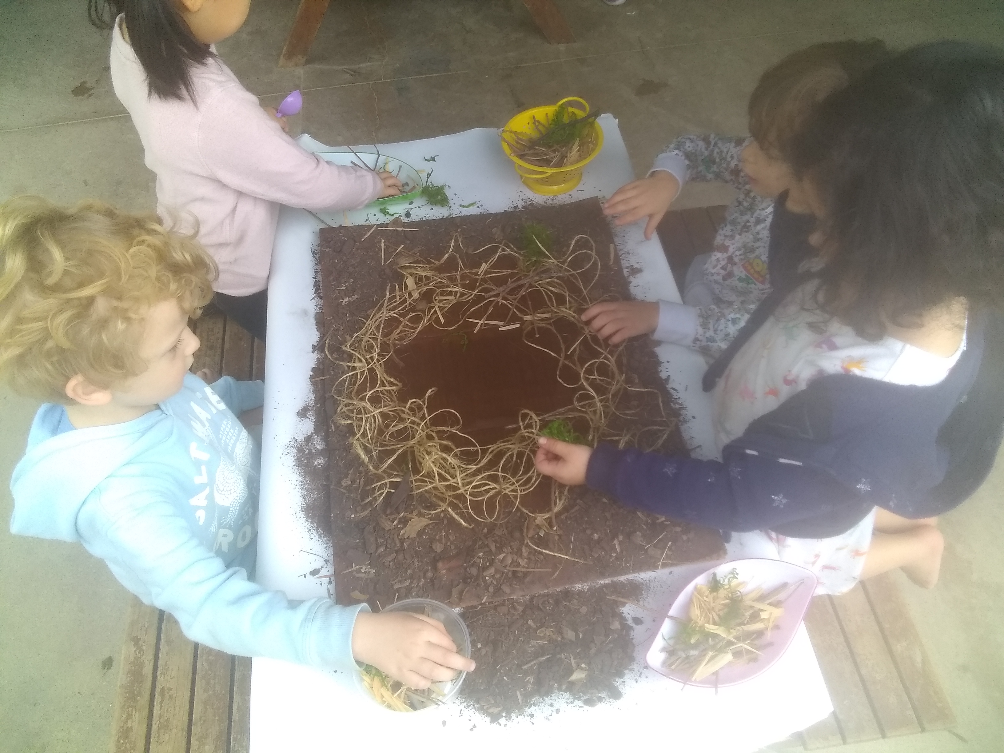 IMG_20191115_102015385