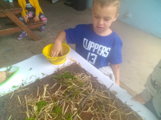 IMG_20191115_102354891