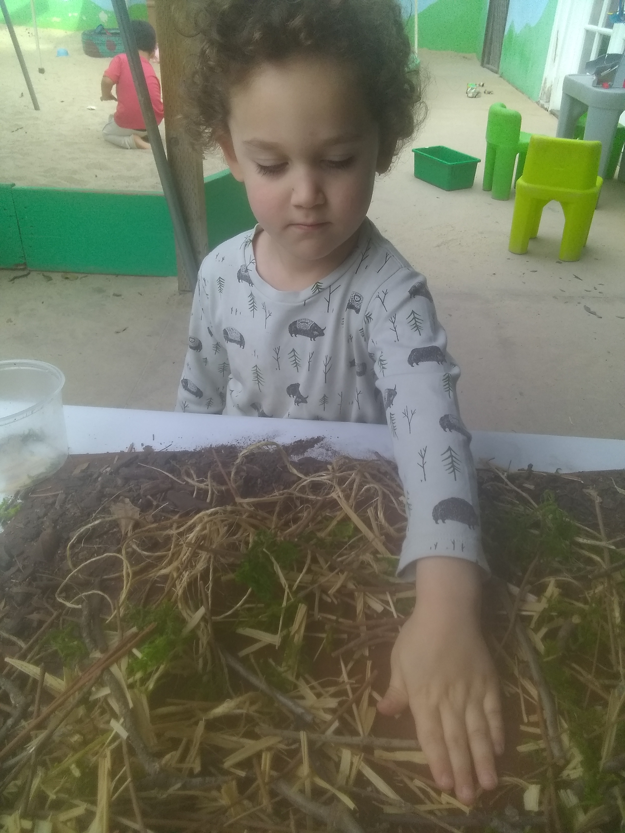 IMG_20191115_102518421