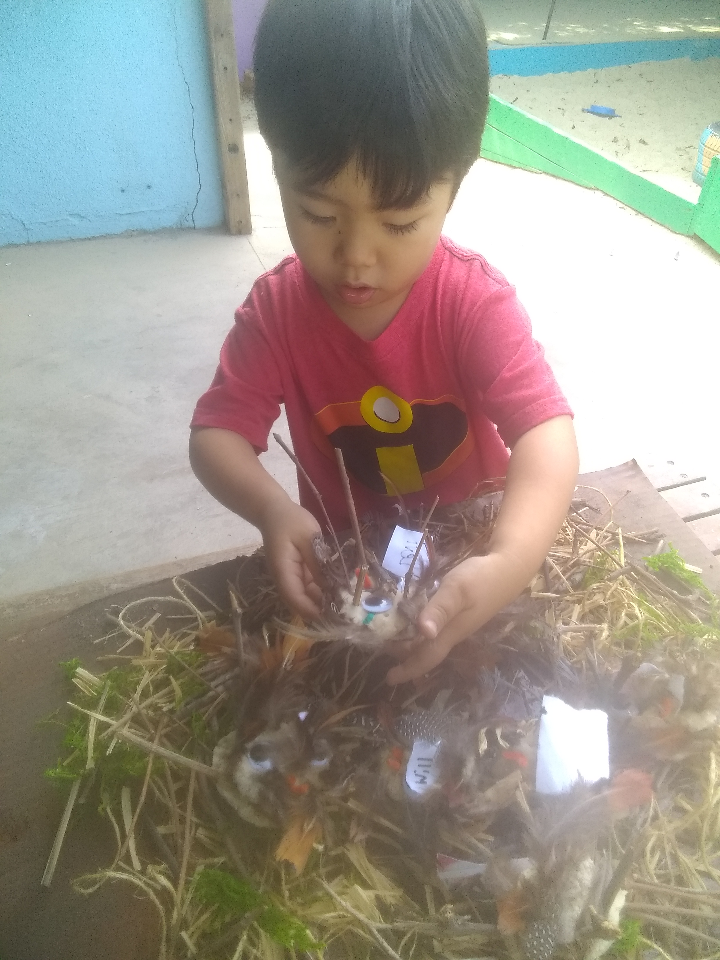 IMG_20191115_111510400