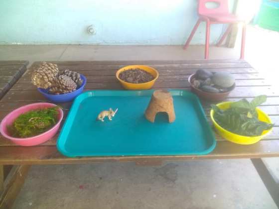 73458737_2820512924649191_3543418349289472000_n