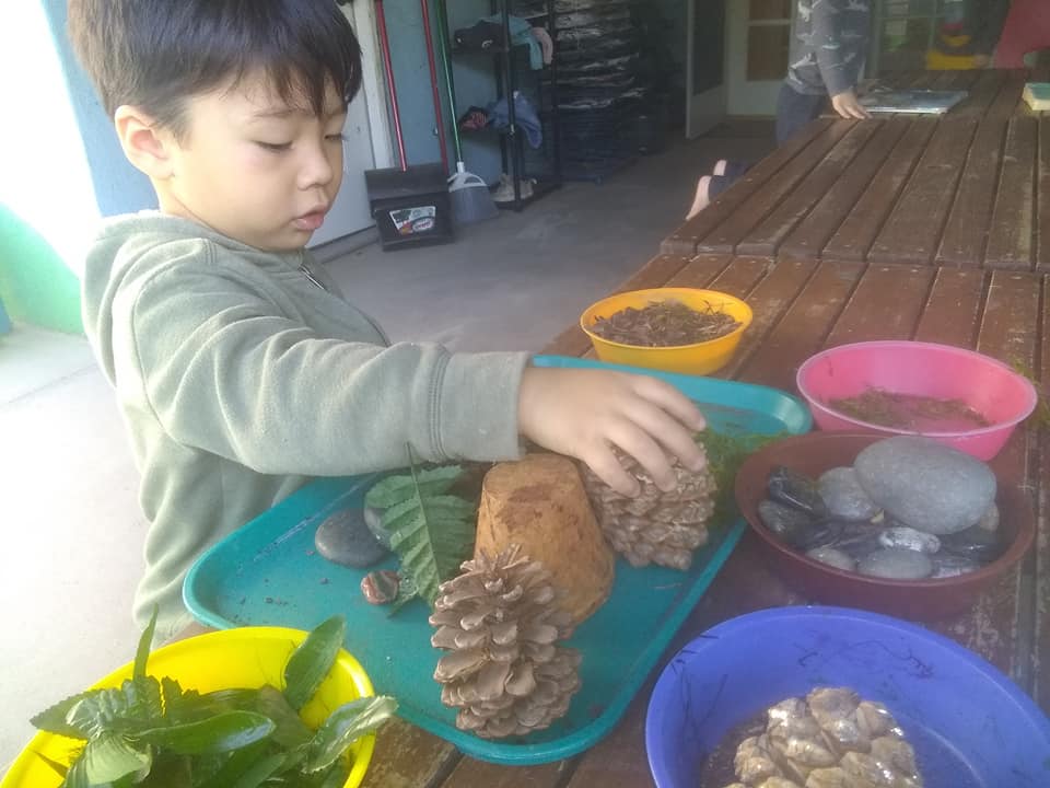 74705020_2820512641315886_7660789713967513600_n